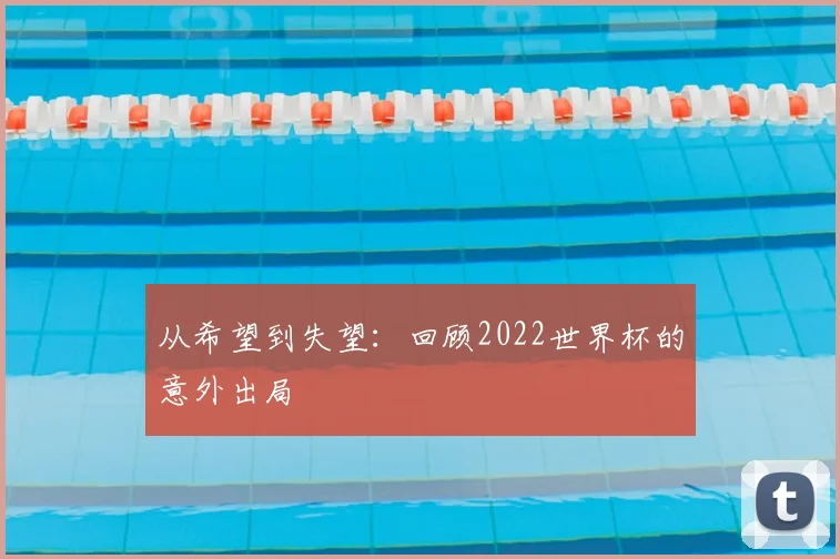 从希望到失望:回顾2022世界杯的意外出局
