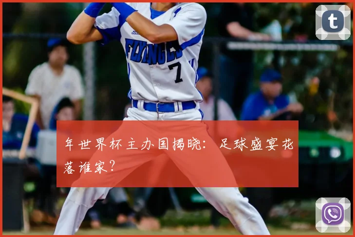 年世界杯主办国揭晓：足球盛宴花落谁家？