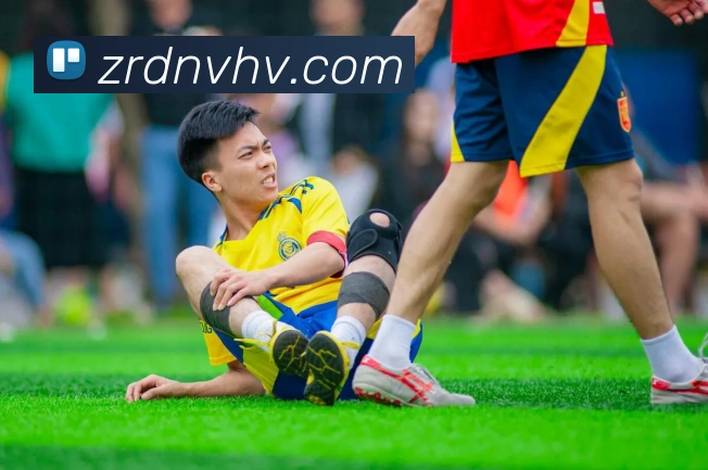 leyu乐鱼官方官网APP 封面图